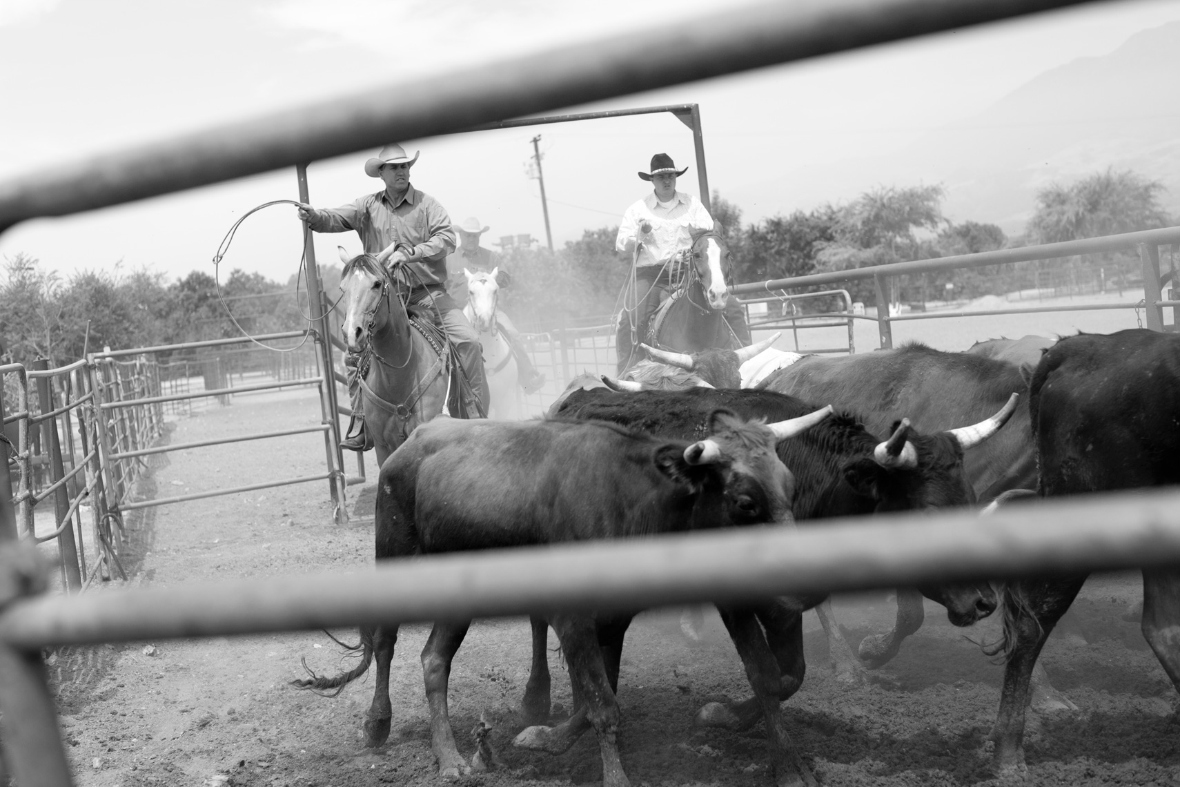 Ranch1-539-DUP1.jpg