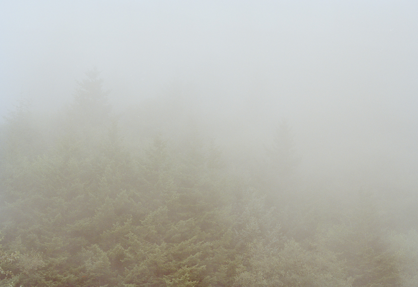 misty-oregon-coast-landscape-2012.jpg