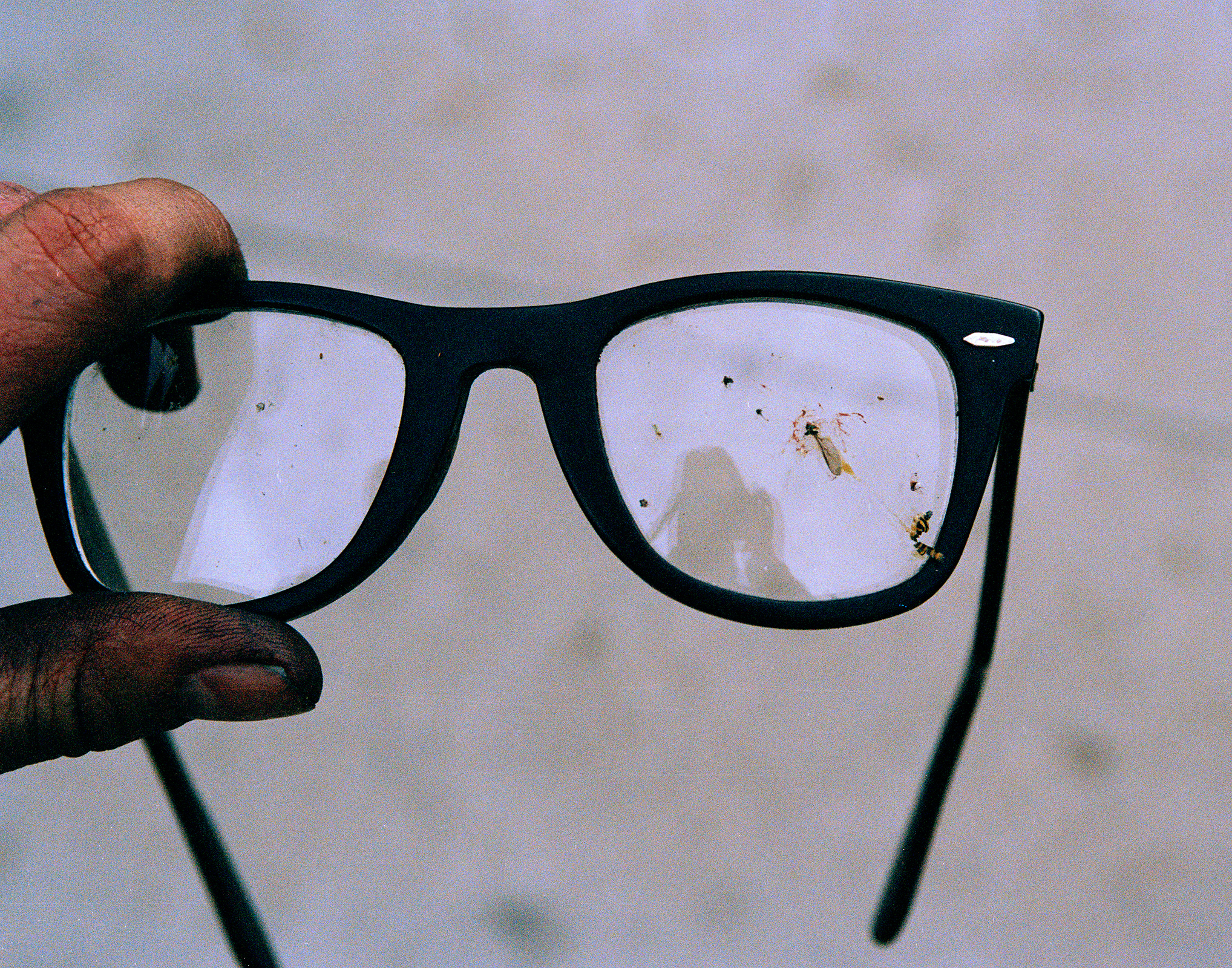 my-glasses-with-bugs-2009-print-portfolio.jpg